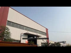 carregador do boi do patim